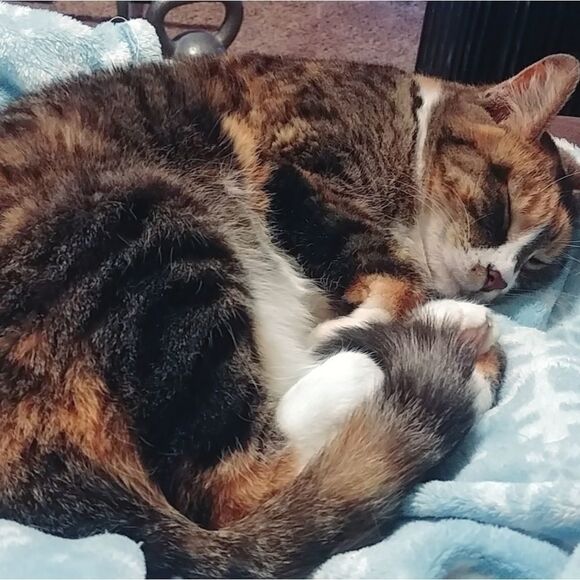 Send me a reasonable offer! Let's do this! (unless it's a handmade item😉)😊📦 - Picture 10 of 10